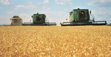 Фермеры в беде. Какой урожай соберет Украина в 2020 и кто на нем заработает