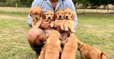 Брат Кейт Міддлтон відреагував на новину про здоров'я сестри