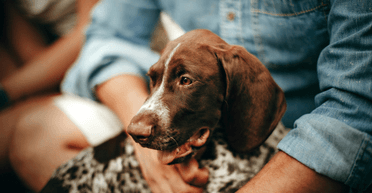 Мужчине грозит наказание за объятия с собакой: в чем его обвиняет полиция (фото)