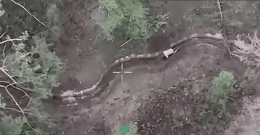 Військові ЗСУ за допомогою дрона звільнили з полону РФ українського бійця (відео)