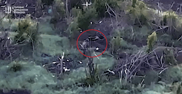 Расстреляли 4 пленных бойцов ВСУ возле Роботино: ГУР идентифицировало российских убийц (фото)