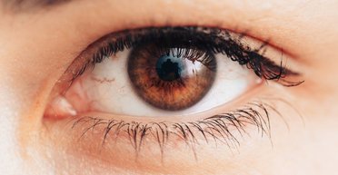 Учені шоковані тим, що мусять про це просити: вони закликають людей не стригти вії