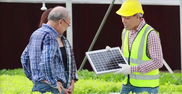 Не тільки добувають енергію: експерти виявили несподіваний ефект від сонячних панелей