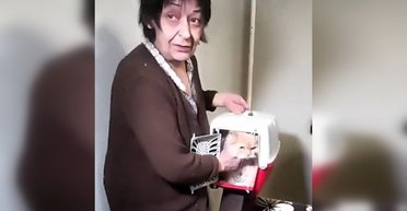 Раненые дети и животные среди осколков: мэр Харькова рассказал о последствиях удара "Искандера" (видео)