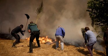 Самый страшный пожарный сезон: в Испании огонь охватил территорию, равную 42 000 футбольным полям