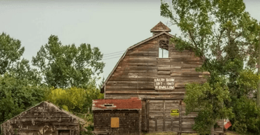 Відвідування заборонене: всі жителі покинули "місто-привид" через проклятий ліс (відео)