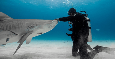 За один укус: "акула-бик" відірвала руку і ногу десантнику під час навчань (фото)