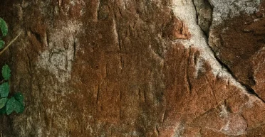 На висоті 1307 метрів: таїландські рейнджери знайшли стародавні петрогліфи