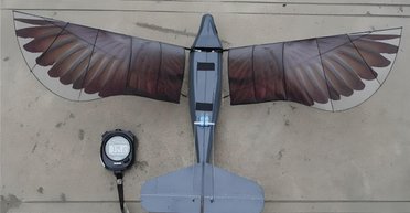 Не відрізнити від птаха: представлено дрон Xinge, який стане в пригоді і вченим, і військовим (фото)