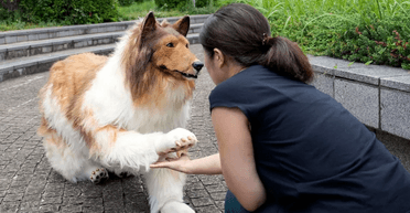 Чоловік, який став собакою, відкрив "зоопарк" для собі подібних (фото, відео)