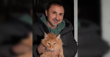 Кот просидел неделю в квартире, потому что владельца забрал ТЦК: как спасли животное (видео)