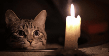 Отключения света после повышения тарифов могут стать более длительными: подробности