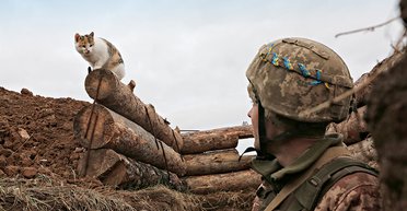 Огневой контакт. Кому выгодно обострение на фронте