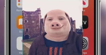 "Стало не до сміху": чоловік отримує моторошні зображення людини з обличчям свині (фото)