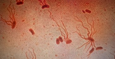 "Гнила гарячка" повертається з минулого: у нас майже не залишилося антибіотиків від черевного тифу