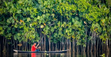 Хижак із джунглів. У нетрях Перу зачаївся невідомий науці вірус