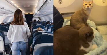 Пара забронювала зайве місце в літаку: люди шоковані, навіщо воно знадобилося