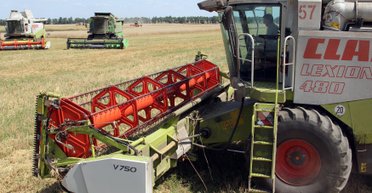 Від $ 2 тисяч за гектар. Чому на покупку землі за вигідними цінами є тільки 2 роки