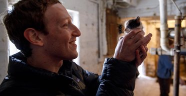 Цукерберг заплатит "тиктокерам" по 5000 долларов за регистрацию в Facebook и Instagram