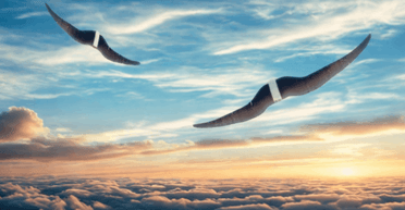 Може планувати: дрон із фіксованим крилом, можливо, перевершить Mavic