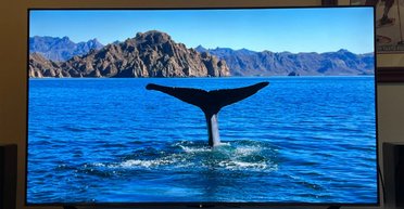 Лучший телевизор для большинства людей: какую модель рядят эксперты в 2026 году (фото)