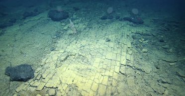 Путь в Атлантиду. На дне Тихого океана нашли дорогу из желтого кирпича (видео)