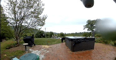 Господарі не могли повірити очам, коли побачили, хто стоїть на порозі їхнього будинку (фото)