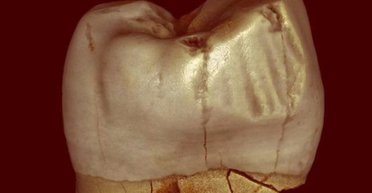 Древнейшая привычка человека была опровергнута: ее не слишком любят и в наши дни