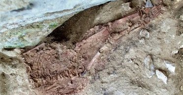 Гібриди неандертальців і людей жили після вимирання наших найближчих родичів (фото)