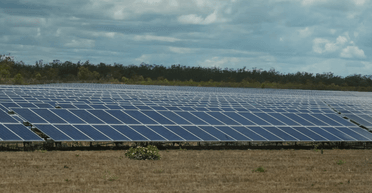 Сонячні панелі зазнали фіаско: в Австралії довелося позбутися тисяч фотоелементів