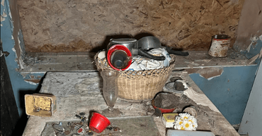 "Декорація до фільму жахів": у США виявлено будинок, заповнений скелетами тварин (фото)