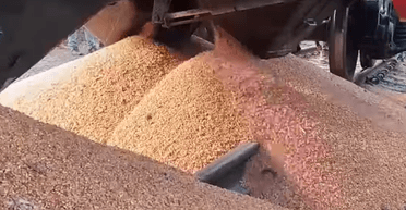 "Ксенофобия и оправдание геноцида": в ГУР отреагировали на рассыпанное поляками зерно