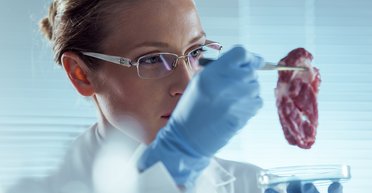 Из пробирки в тарелку. Как искусственное мясо может оздоровить и накормить планету