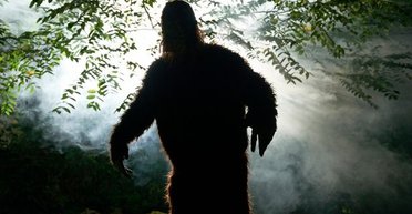 Точно не медведь: настоящий "Бигфут" в фильме об Арктике напугал соцсети (фото, видео)