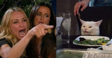 Мем "женщина, которая кричит на кота": история появления и детали из жизни домохозяйки и животного (видео)
