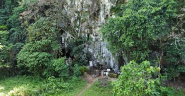 Древнейшие в мире трафаретные рисунки нашли в Индонезии: им 70 000 лет (фото)