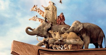 В мире животных. Почему украинской нации так необходим опыт пчел