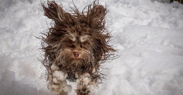 На самом деле существует девять видов осадков: ученые рассказали, какие ждать этой зимой