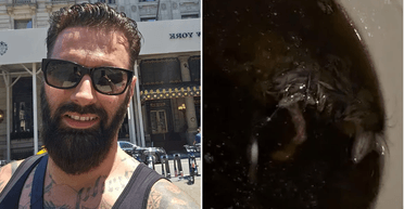 Думав, що гриби: чоловік знайшов мишу, що "смикається", у замовленому супі (фото)