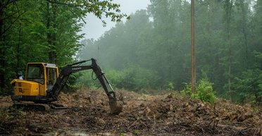 Волинська трагедія: українці та поляки разом працюють над ексгумацією тіл на Тернопільщині