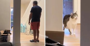 Похожий на владельца кошки родственник наведался в гости: реакция животного покорила сеть (фото)