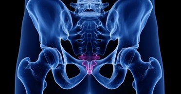 Почему у людей растут "хвосты": ученые объяснили, зачем они нам нужны