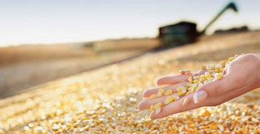 Сыты по горло. Чем грозит Украине российское эмбарго на продукты питания