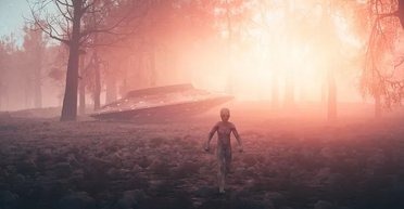 Просив запчастини на ремонт тарілки: інформатор про НЛО розповів про зустріч з прибульцем