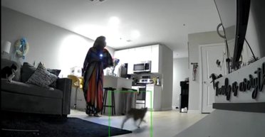 Камера спостереження зняла "грабіжників" у будинку жінки: це були зовсім не люди (відео)