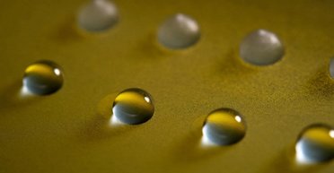 Земля створила Айсмена до того, як його придумав Marvel: знайдено гриб, здатний заморозити воду