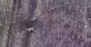 Сыграли в радиоигру: ВСУ хитростью уничтожили взвод морпехов в Курской области (видео)