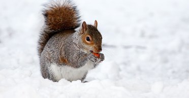 До -16 градусів морозу і ожеледиця: якою буде погода в Україні на початку тижня