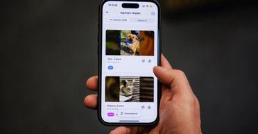 У "Києві Цифровому" запустили новий сервіс: українці можуть взяти собі улюбленця (відео)