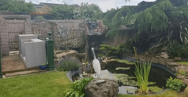 Назвали "руїнами": чоловік таємно побудував підземну печеру з 2 водоспадами поруч із будинком